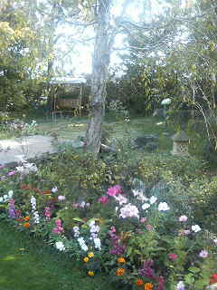200911011036000.jpg